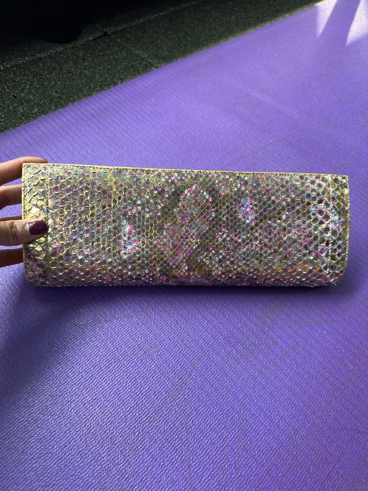 Authentic Nancy Gonzalez Iridescent Python Snakeskin Evening Clutch Purse