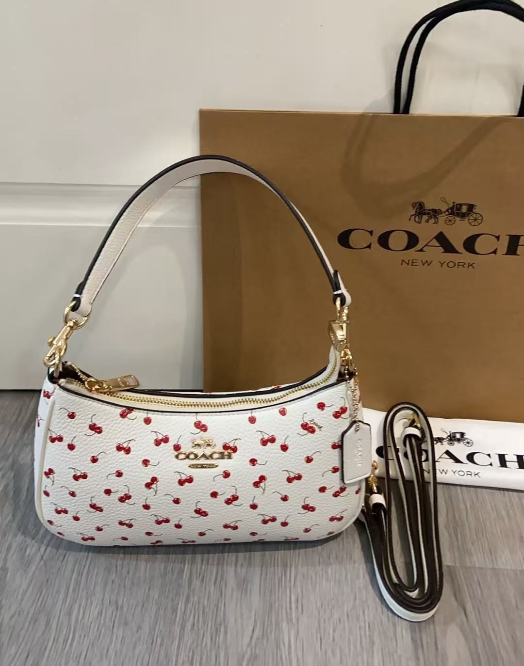 COACH Teri 24/25 Cherry Print Underarm Bag CFG01