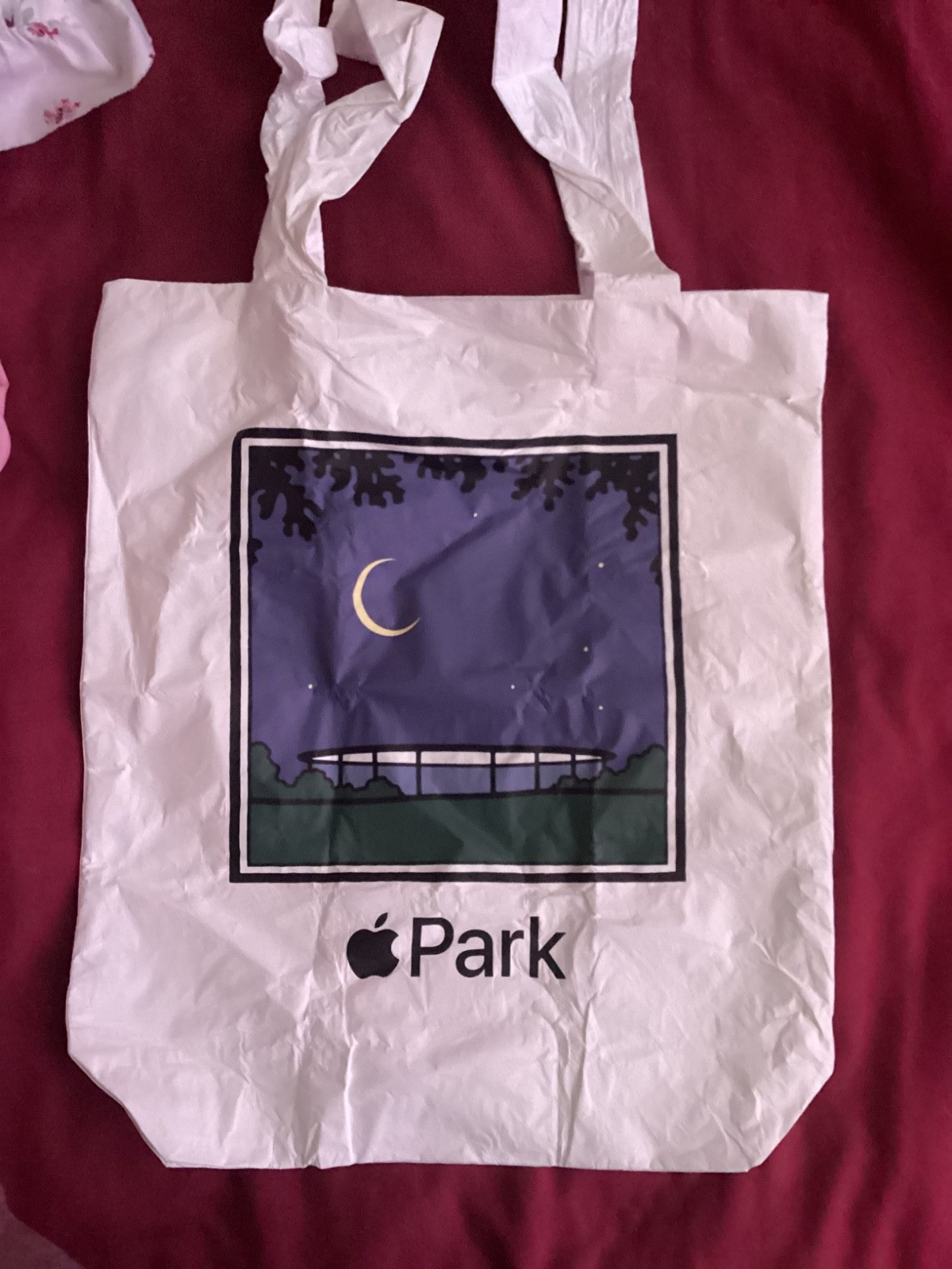 Apple Park – Steve Jobs Theater Tote Bag / White Multi 100% Tyvek HNTV2LL/A NIB